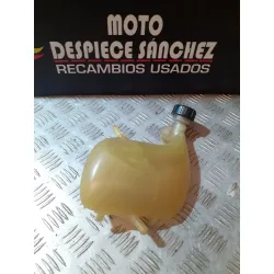 BOTE DE AGUA PIAGGIO NNT 50