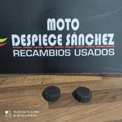 GOMAS  DE APOLLO DE...