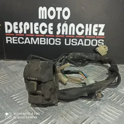 PIÑA DE INTERMITENCIA SIN...