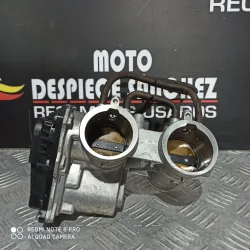 CUERPO DE MARIPOSA HONDA...