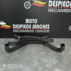 MAGUITOS DE AGUA HONDA CRF...