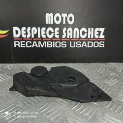 PROTECTOR IZQUIERDO DE...