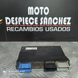 UNIDAD PGM-FI HONDA CRF...