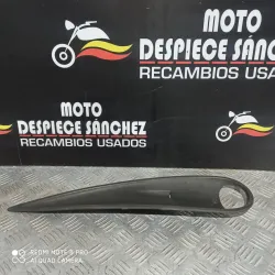 TAPA DERECHA DE CACHA TRASERA