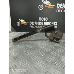 SEMIMANILLAR IZQUIERDO...