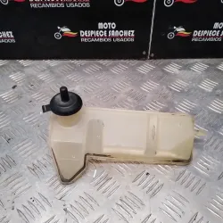 BOTE DE ESPANSION BMW SCARVER