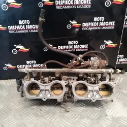 CUERPO DE MARIPOSA HONDA...