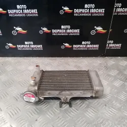 RADIADOR HONDA PS 125 2004