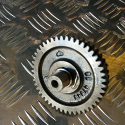 PIÑON INTERMEDIO...