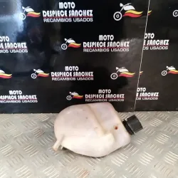 BOTE DE EXPANSIÓN  PIAGGIO...