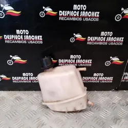 BOTE DE EXPANSION  X9  250...