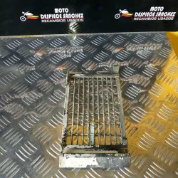 REJILLA DERECHA RIEJU RR...