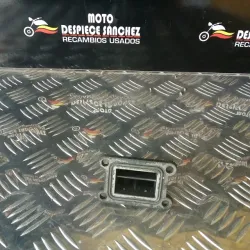 CAJA LAMINAS RIEJU RR 2000