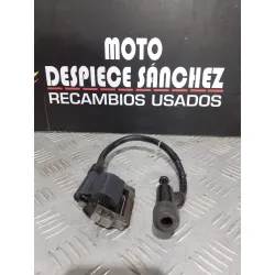 BOBINA DE ALTAS  1 BMW F...