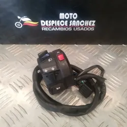 PIÑA DE INTERMITENCIA...