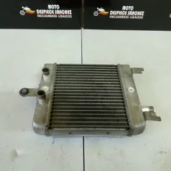 RADIADOR DE AGUA  BURGMAN 125