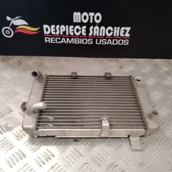 RADIADOR SUZUKI BURGMAN 250...