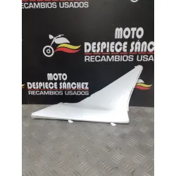 TAPA DERECHA DE BAJO DE...