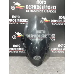 CUPULA CON PEQUEÑA GRIETA...