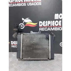 RADIADOR KYMCO GRAND DINK 2013