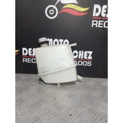 BOTE DE EXPANSION PIAGGIO...