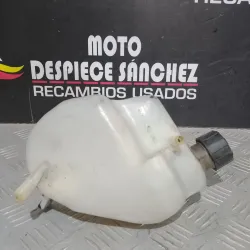 BOTE DE EXPANSION PIAGGIO...