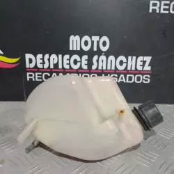 BOTE DE EXPANSION PIAGGIO...