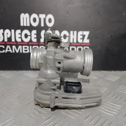 CUERPO DE MARIPOSA DERBI...