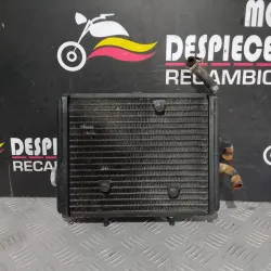 RADIADOR DERBI RAMBLA 250 2008