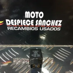 RELE (D402 LGL3 12V-20A)...