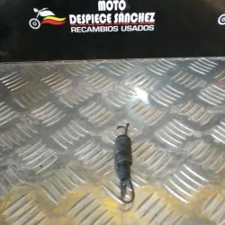 MUELLES DE CABALLETE...