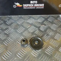 PIÑONES EJE PRIMARIO RIEJU RR