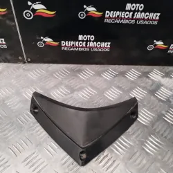 EMBELLECEDOR DE FRONTAL DE...