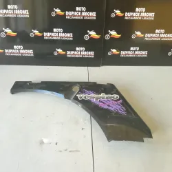 LATERAL DERECHO VESPINO ALX