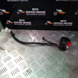 PIÑA DE PARE CARCASA...