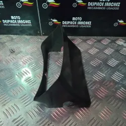 DEFLECTOR DE AIRE DEL...