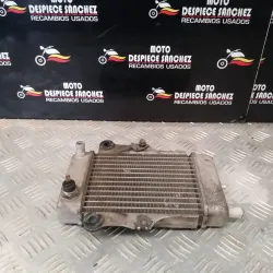 RADIADOR HONDA DYLAN
