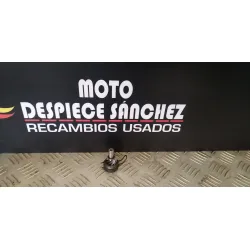 PIÑON DE PATILLA DE...