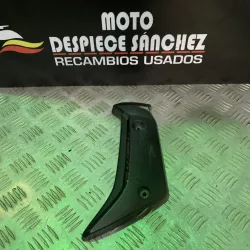 TAPA IZQUIERDA DE RADIADOR...