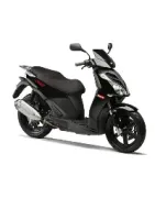 DERBI RAMBLA 250 2008